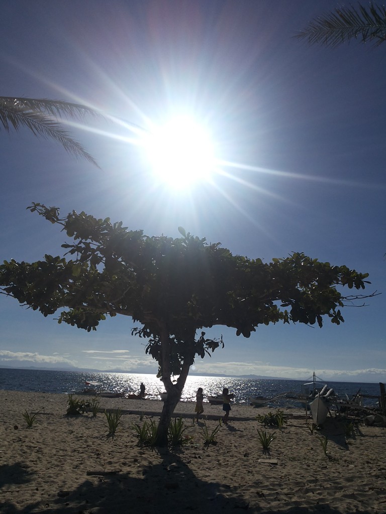 Bountry Beach Malapascua