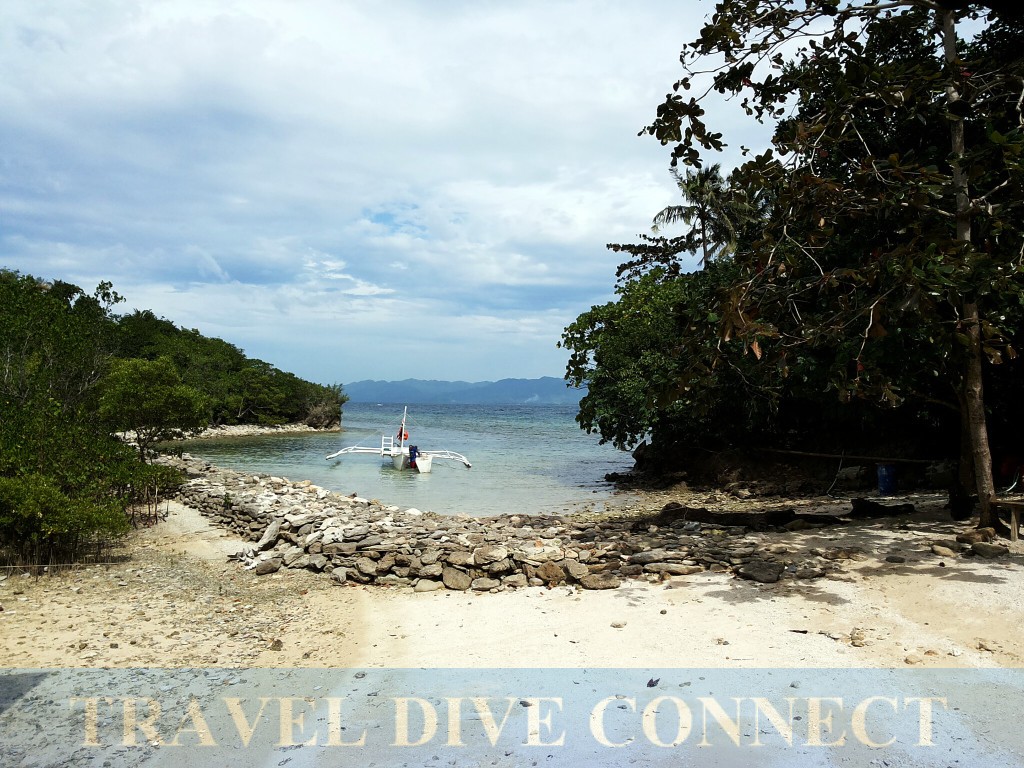 Danjugan Island entry beach, near Moray Lagoon