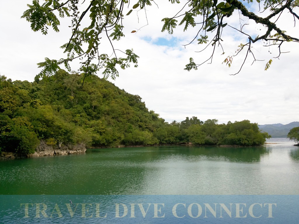 Danjugan Island, Negros Occidental