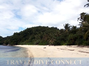 Turtle Beach, Danjugan Island