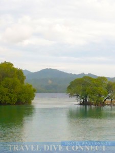 Danjugan Island, Negros Occidental