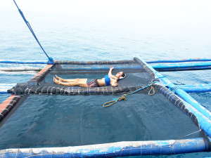 B, sunbathing as the boat sails for Apo Reef