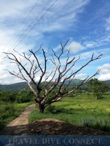 On the road, Occidental Mindoro