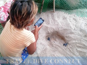 We were both waiting for the turtles to dig themselves out of the sand.