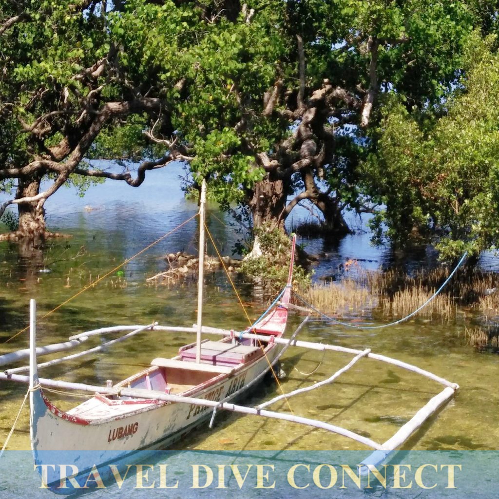 Mangrove reforestation project at Lubang Island